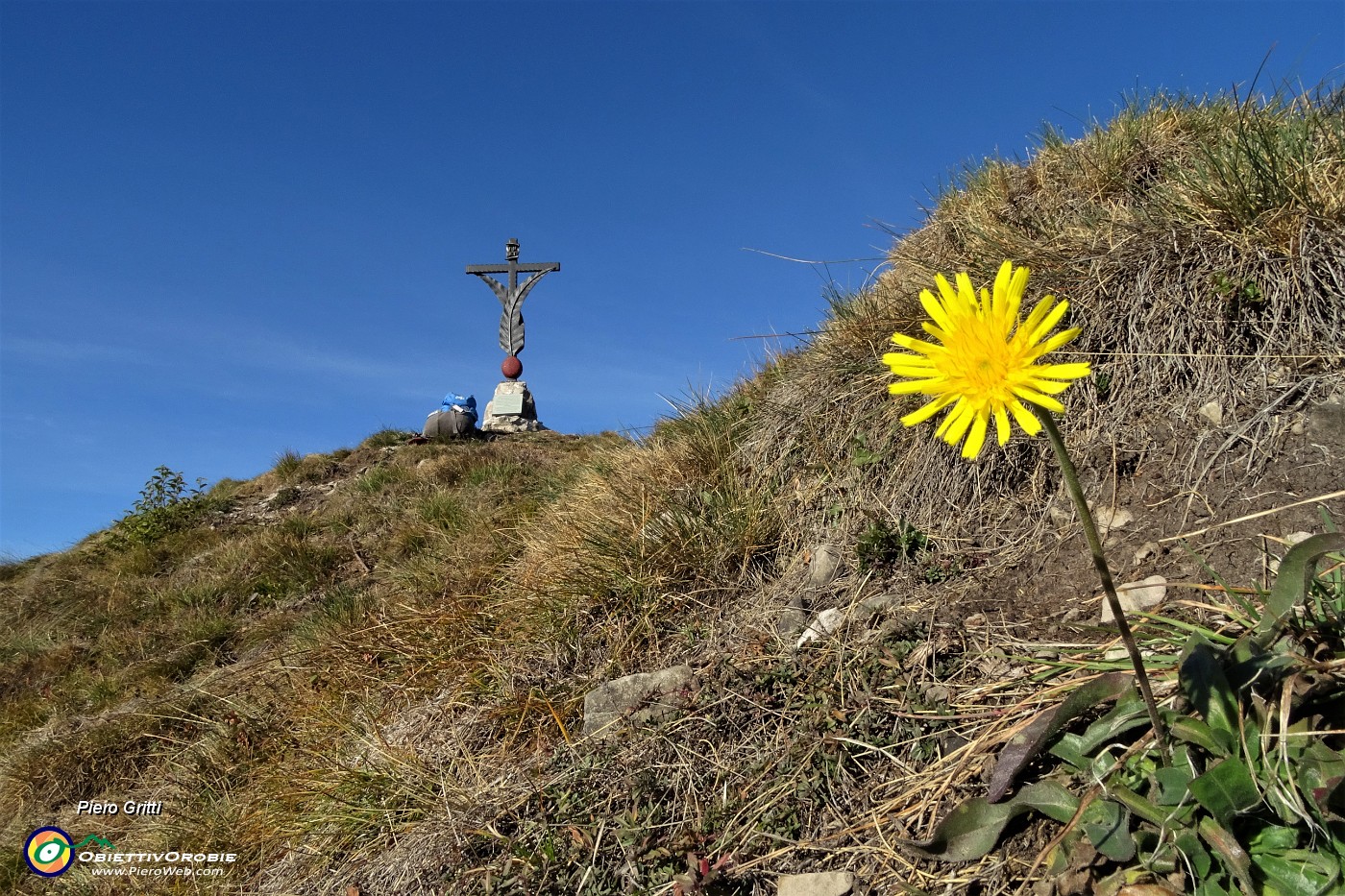 60 Il fiore giallo mi indica la croce....JPG